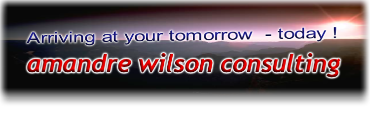 amandre wilson consulting
